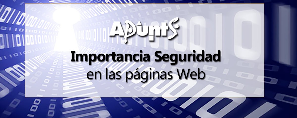 seguridad web