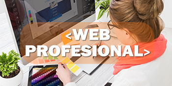 Página web profesional